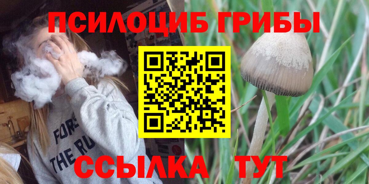 Туймазы  Псилоцибиновые грибы прущие грибы  Вход с VPN 