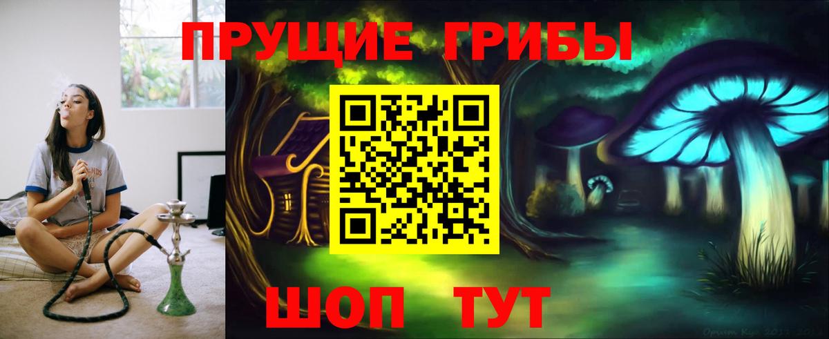 Галлюциногенные грибы GOLDEN TEACHER Туймазы